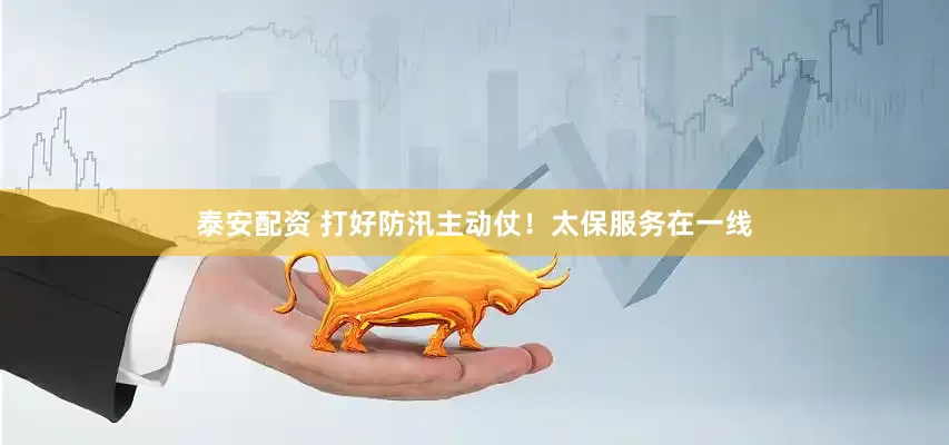 泰安配资 打好防汛主动仗！太保服务在一线