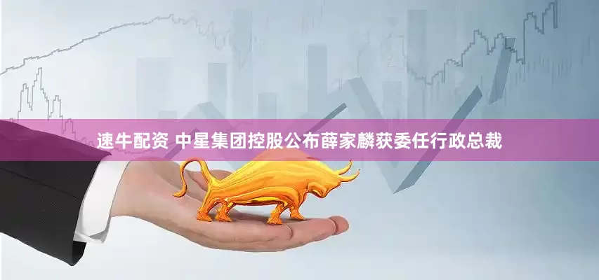 速牛配资 中星集团控股公布薛家麟获委任行政总裁