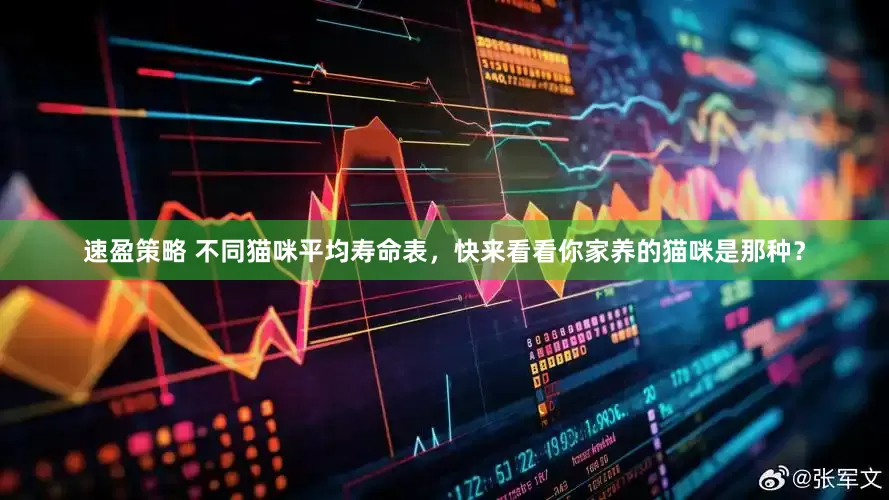 速盈策略 不同猫咪平均寿命表，快来看看你家养的猫咪是那种？