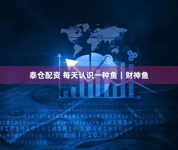 泰仓配资 每天认识一种鱼｜财神鱼