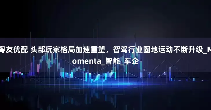 粤友优配 头部玩家格局加速重塑，智驾行业圈地运动不断升级_Momenta_智能_车企