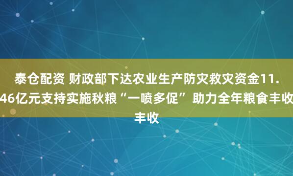 泰仓配资 财政部下达农业生产防灾救灾资金11.46亿元支持实施秋粮“一喷多促” 助力全年粮食丰收