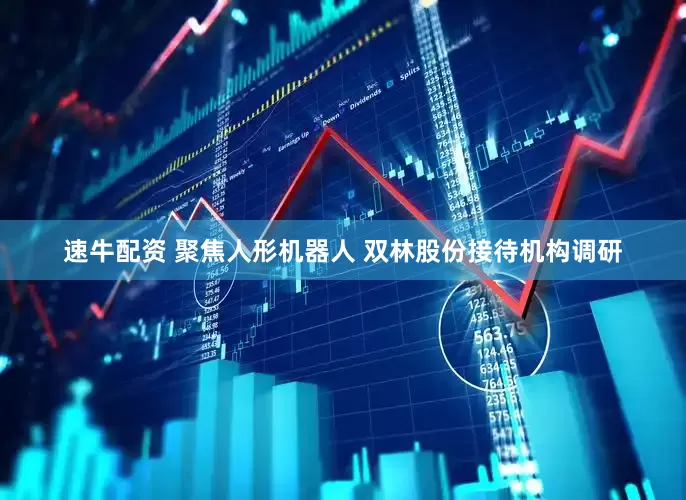速牛配资 聚焦人形机器人 双林股份接待机构调研