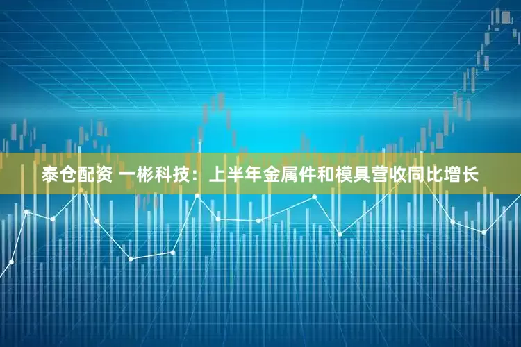 泰仓配资 一彬科技：上半年金属件和模具营收同比增长