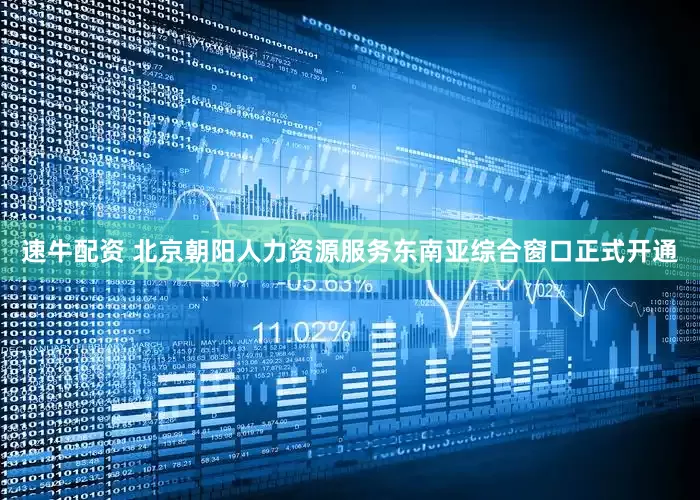 速牛配资 北京朝阳人力资源服务东南亚综合窗口正式开通