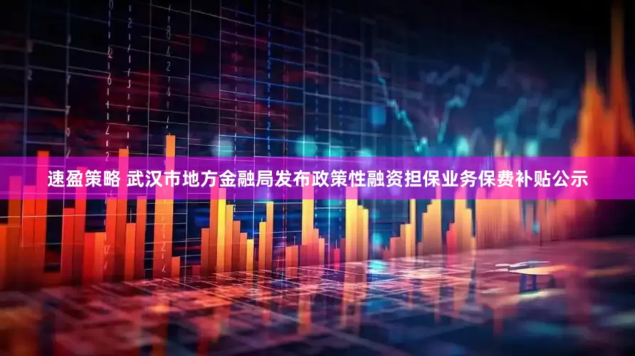 速盈策略 武汉市地方金融局发布政策性融资担保业务保费补贴公示