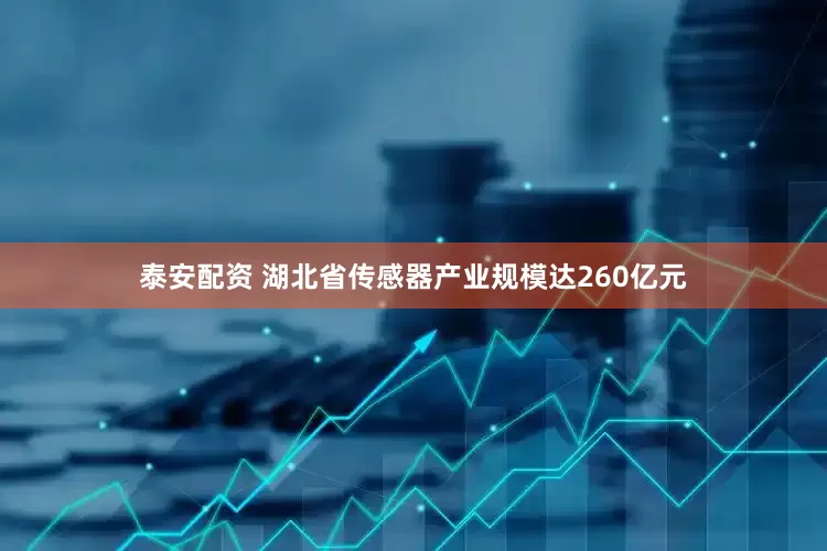泰安配资 湖北省传感器产业规模达260亿元