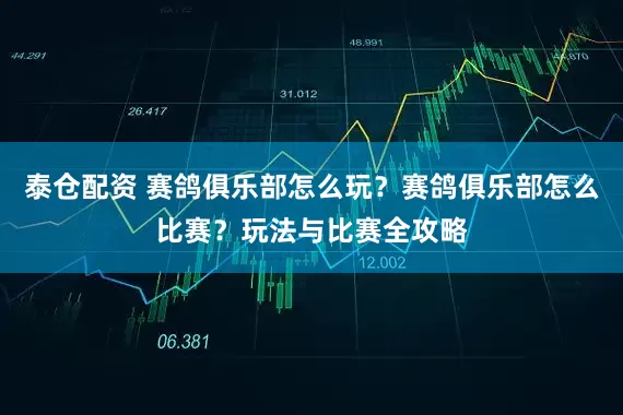 泰仓配资 赛鸽俱乐部怎么玩？赛鸽俱乐部怎么比赛？玩法与比赛全攻略
