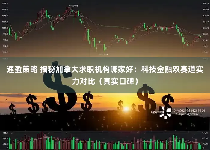 速盈策略 揭秘加拿大求职机构哪家好：科技金融双赛道实力对比（真实口碑）