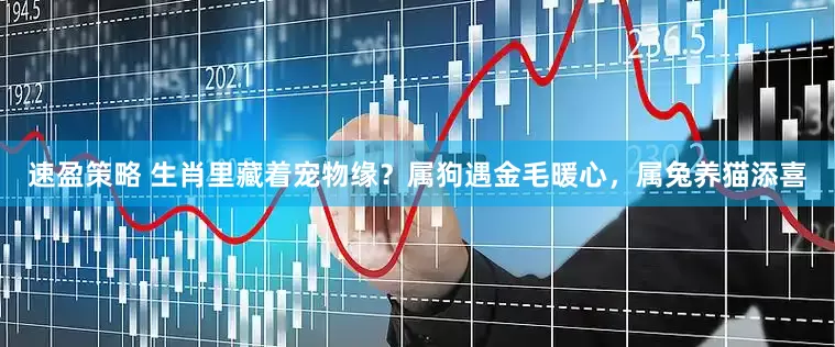 速盈策略 生肖里藏着宠物缘？属狗遇金毛暖心，属兔养猫添喜