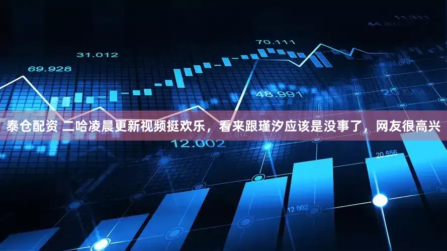 泰仓配资 二哈凌晨更新视频挺欢乐，看来跟瑾汐应该是没事了，网友很高兴