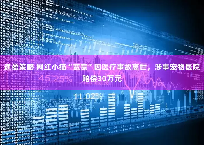 速盈策略 网红小猫“宽宽”因医疗事故离世，涉事宠物医院赔偿30万元